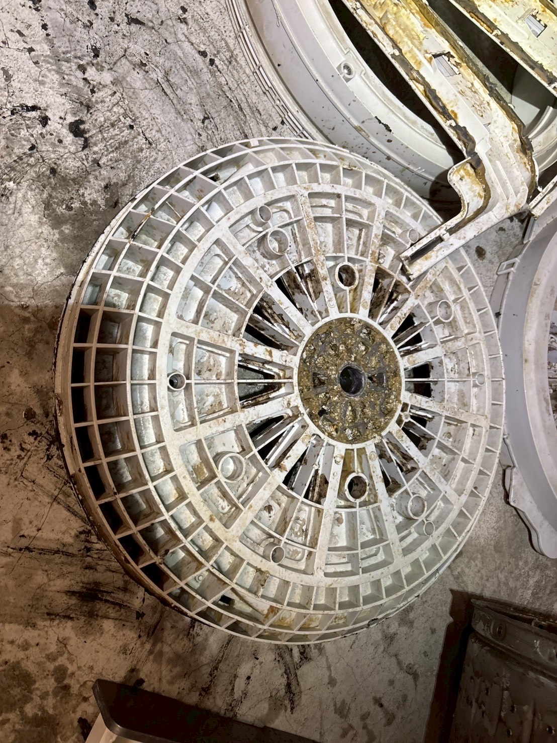 台中西區 直立式洗衣機清洗一台