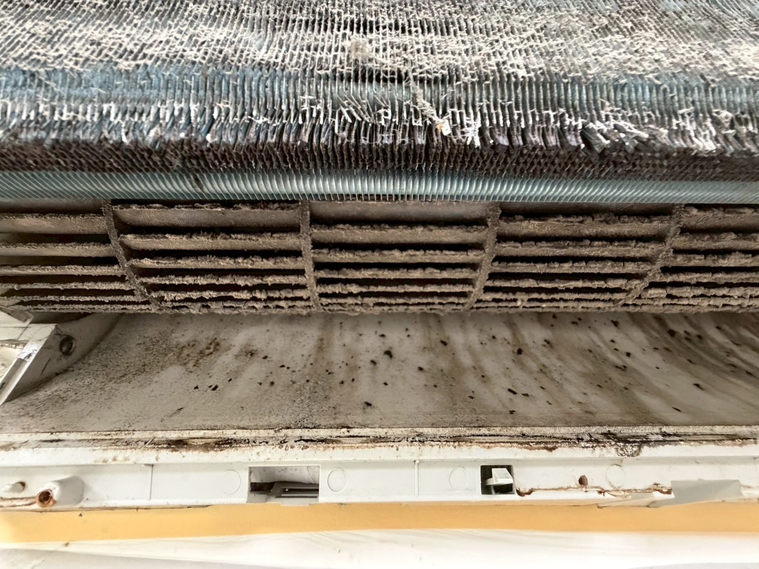 台中中興大學分離式冷氣清洗