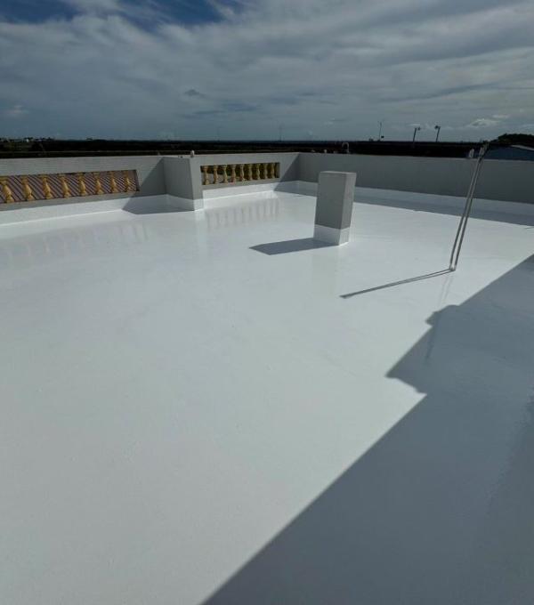 新營民宅屋頂 PU面漆保養 晉躍有限公司EPOXY